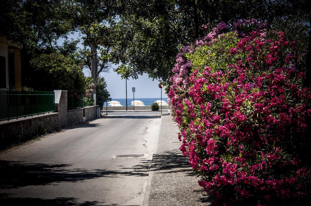 Residence OLIVETO A MARE Ascea Exterior foto