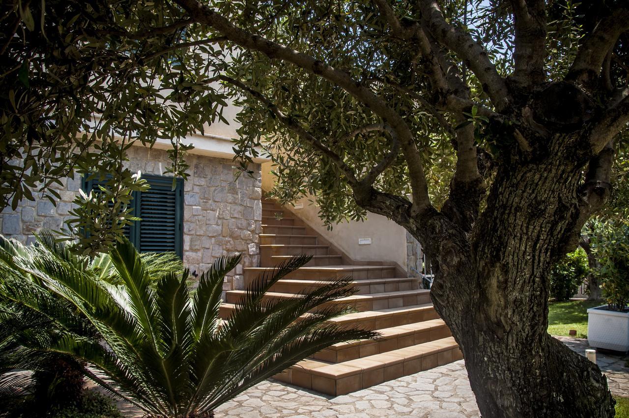 Residence OLIVETO A MARE Ascea Exterior foto