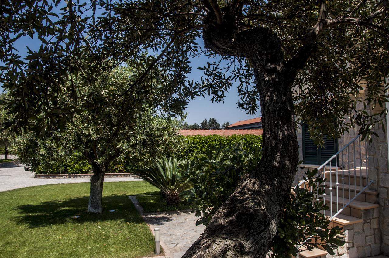 Residence OLIVETO A MARE Ascea Exterior foto